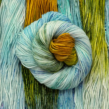 Load image into Gallery viewer, Sheeptastic DK