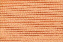 Load image into Gallery viewer, Apricot 014
