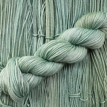 Load image into Gallery viewer, Showbiz