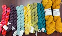 Load image into Gallery viewer, Ale’s ewe & minis