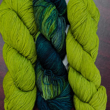 Load image into Gallery viewer, Lettuce & Misterio