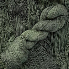 Load image into Gallery viewer, Enchanted