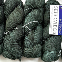 Load image into Gallery viewer, Fiona 346