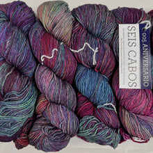 Load image into Gallery viewer, Aniversario 005