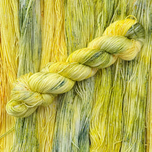 Load image into Gallery viewer, Daffodil garden