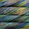 Iniecita
