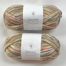 Load image into Gallery viewer, 101 Fizzpop