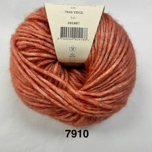 Load image into Gallery viewer, Tegl 7910