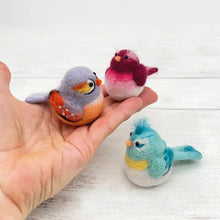 Load image into Gallery viewer, baby birds