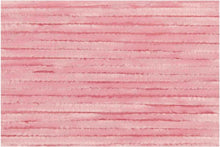 Load image into Gallery viewer, salmon 07