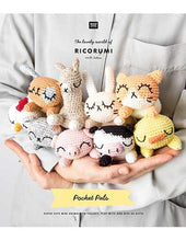Load image into Gallery viewer, pocket pals