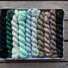 Load image into Gallery viewer, Snow Pines