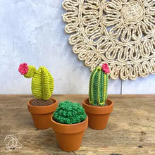 Load image into Gallery viewer, Cacti crochet
