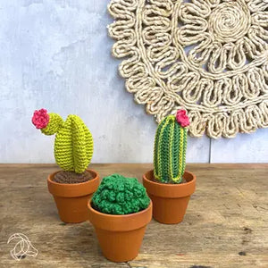 Cacti crochet