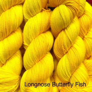 Longnose Butterfly Fish