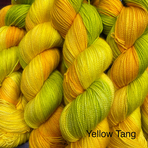 Yellow Tang