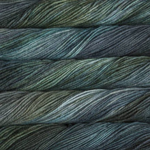 Load image into Gallery viewer, Aguas