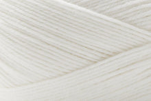 Load image into Gallery viewer, Bone 101