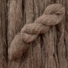 Load image into Gallery viewer, cocoa bear