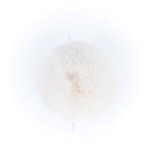 Load image into Gallery viewer, cream