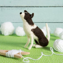 Load image into Gallery viewer, border collie
