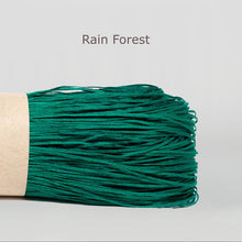 Load image into Gallery viewer, Rain Forest