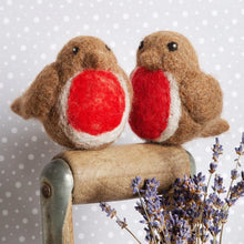 Load image into Gallery viewer, robins