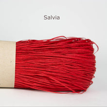 Load image into Gallery viewer, Salvia