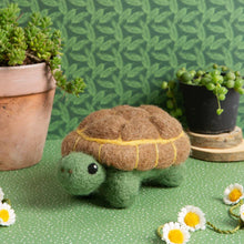 Load image into Gallery viewer, tortoise