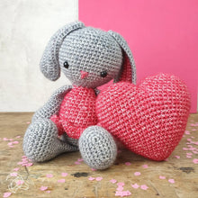 Load image into Gallery viewer, Hardicraft Knit & Crochet kits