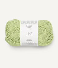 Load image into Gallery viewer, Lime Punch 9523