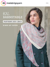 Load image into Gallery viewer, Barnstable Shawl KAL
