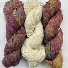 Load image into Gallery viewer, Barnstable Malabrigo KAL
