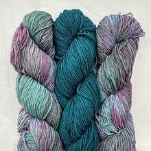 Load image into Gallery viewer, Barnstable Malabrigo KAL
