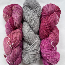 Load image into Gallery viewer, Barnstable Malabrigo KAL

