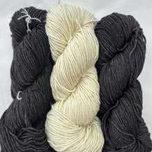 Load image into Gallery viewer, Barnstable Malabrigo KAL
