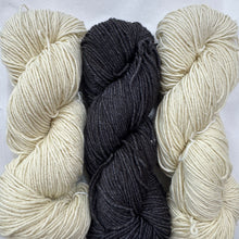 Load image into Gallery viewer, Barnstable Malabrigo KAL
