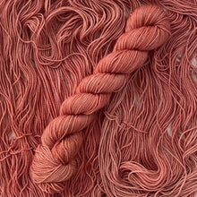 Load image into Gallery viewer, Spiced coral