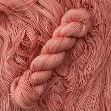 Load image into Gallery viewer, Spiced Coral