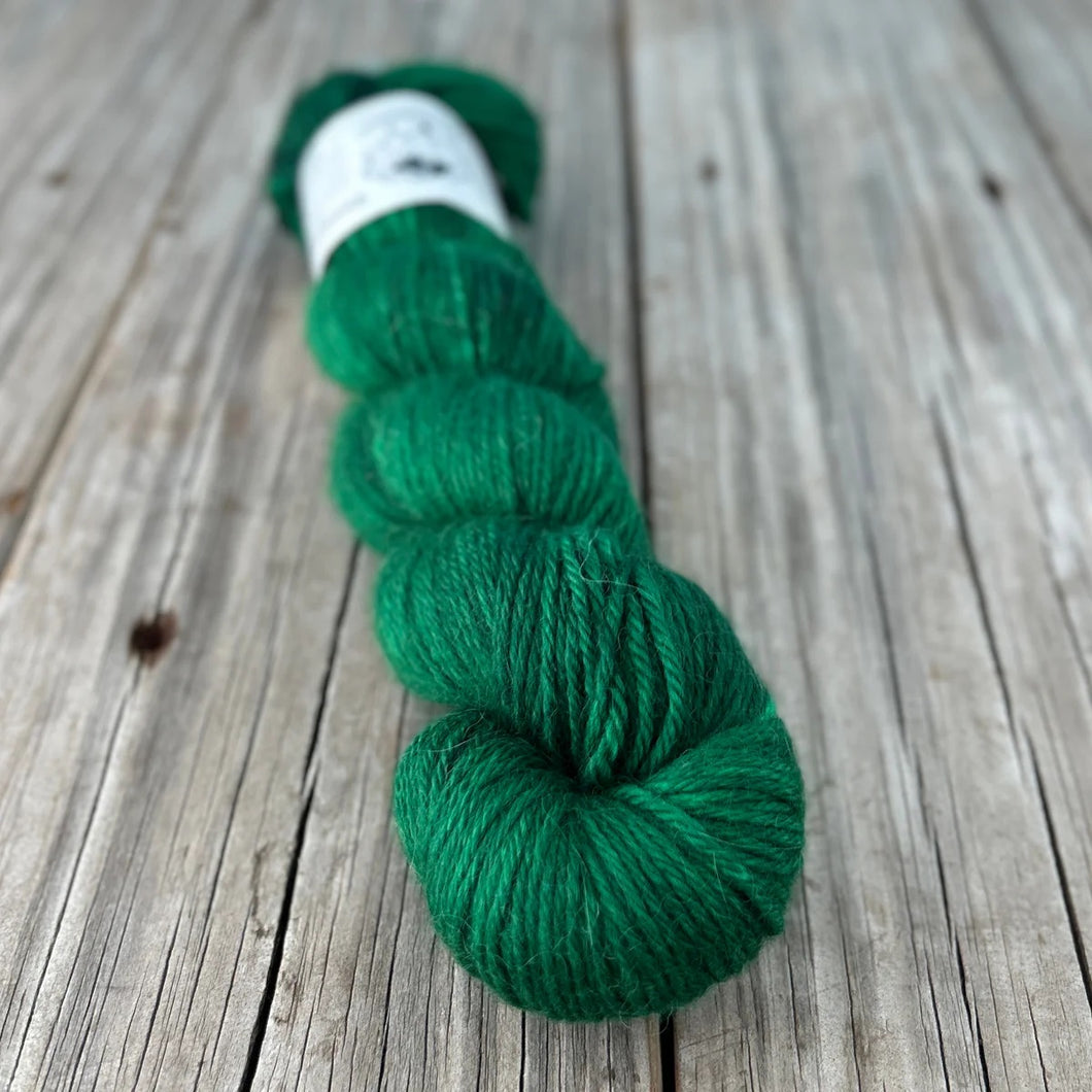 Treasure of the Emerald Isle