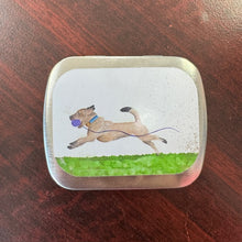 Load image into Gallery viewer, Small dog running