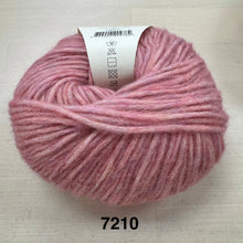 Load image into Gallery viewer, 7210 CELOSIA
