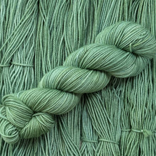 Load image into Gallery viewer, Arizona Cactus