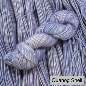 Quahog Shell