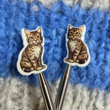 Load image into Gallery viewer, Tabby cat