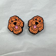 Load image into Gallery viewer, goldendoodle
