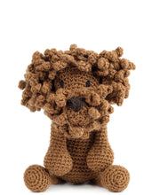 Load image into Gallery viewer, Napoleon the Labradoodle

