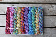 Load image into Gallery viewer, Koigu Pencil Box
