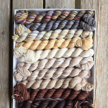 Load image into Gallery viewer, Koigu Pencil Box
