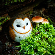 Load image into Gallery viewer, Barn Owl
